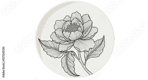 Line art ceramic plate with floral peony design in monochrome  