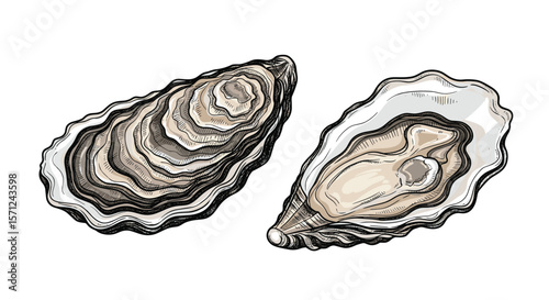 Explore the delicacy of ocean oysters a culinary journey through flavors and textures