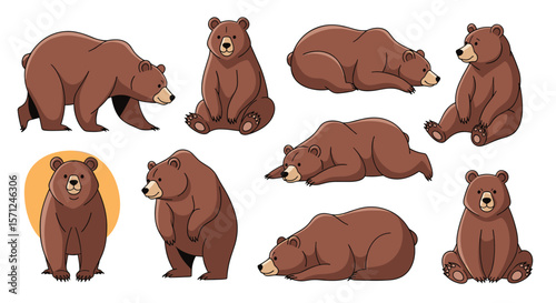 Various poses of a brown bear collection featuring standing sitting and lying down positions