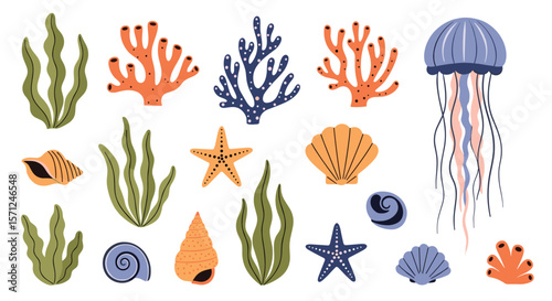 Vibrant collection of marine life and underwater flora for artistic projects