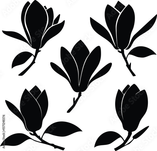 Elegant Magnolia Flower Silhouette Set Vector Illustrations of Blooming Magnolias