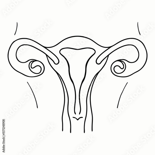 female reproductive system black line drawing for medical infographic