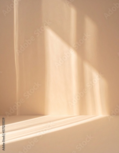 Beige Wall with Warm Sunlight Shadows