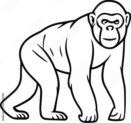 Monkey vector black silhouette print design