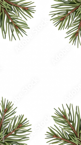 Lush green pine branches frame blank center, creating natural and festive border perfect for holiday designs