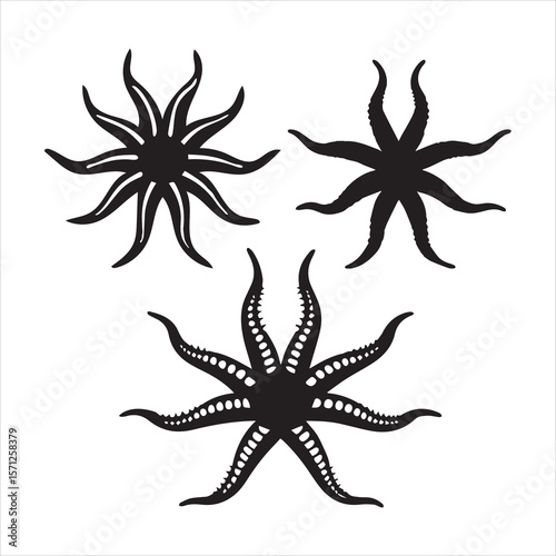 brittle star silhouette vector art