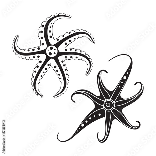 brittle star silhouette vector art