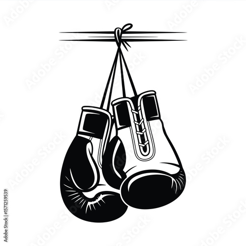 Classic black and white boxing gloves hanging from a rope