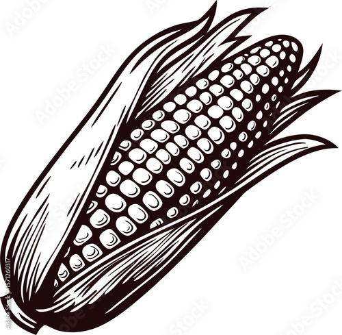 Hand drawn illustration of an ear of corn with husk, detailed vintage vegetable sketch