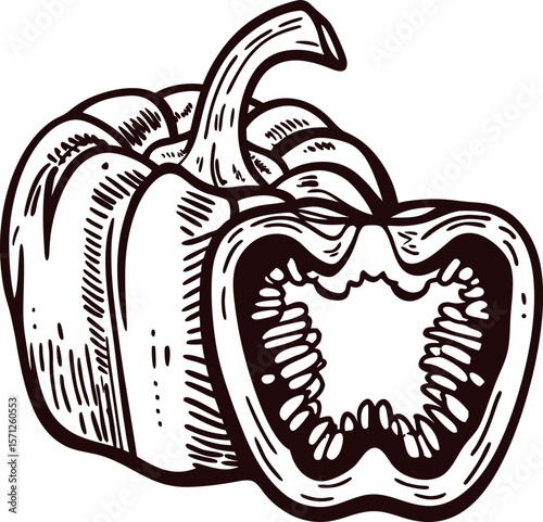 Hand drawn bell pepper with sliced half showing seeds, vintage engraved illustration isolated on white background