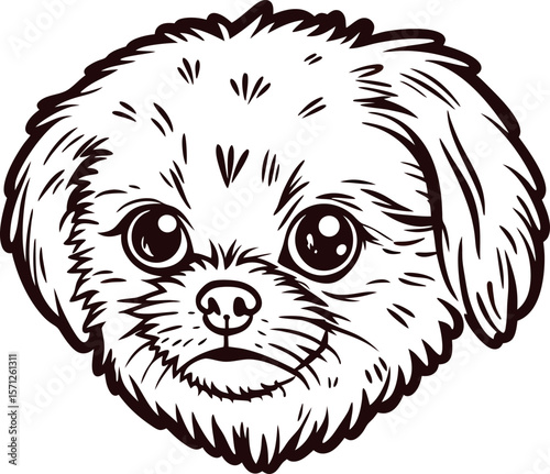 Cute hand drawn puppy face illustration with big eyes and fluffy fur isolated on white background