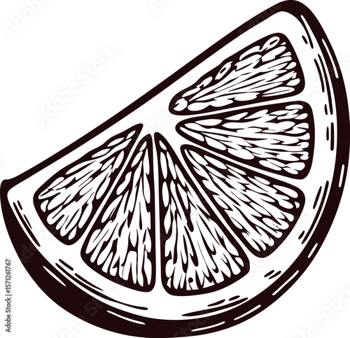 Hand drawn citrus fruit wedge in vintage engraving illustration with detailed texture and bold black outline