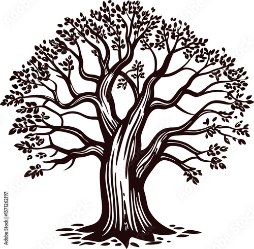 Intricate hand drawn oak tree illustration with sprawling branches and dense foliage isolated on white background