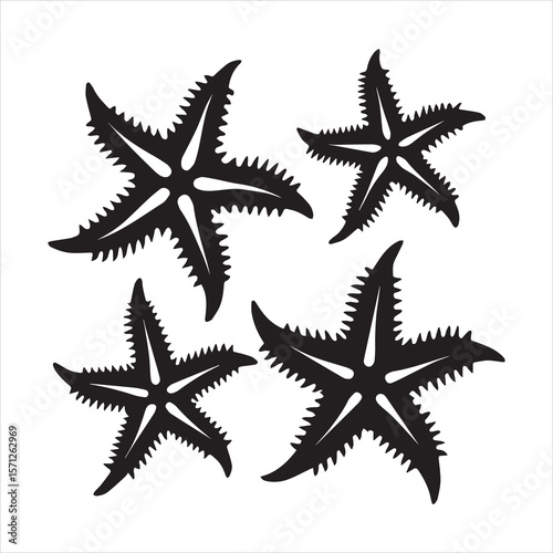 brittle star silhouette vector art