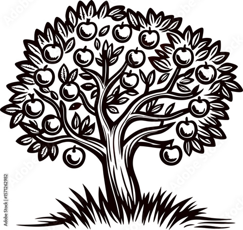 Hand drawn apple tree with ripe fruit and leaves isolated on white background vintage engraving illustration