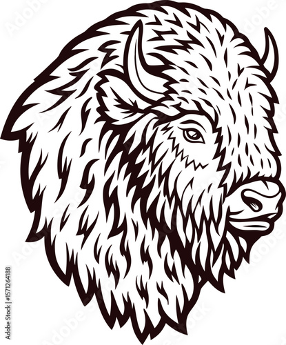 Hand drawn bison head illustration in vintage engraved with bold contour lines on white background