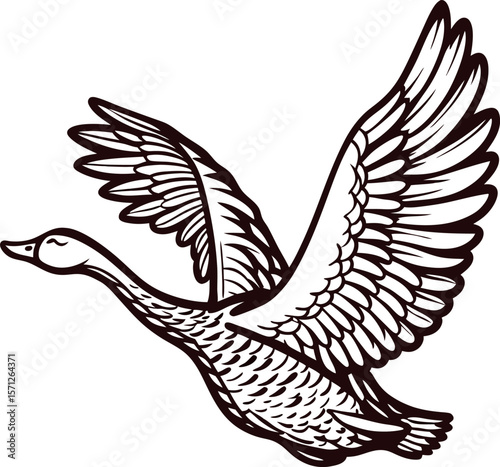 hand drawn flying wild goose with detailed wings outstretched vintage engraved black and white illustration