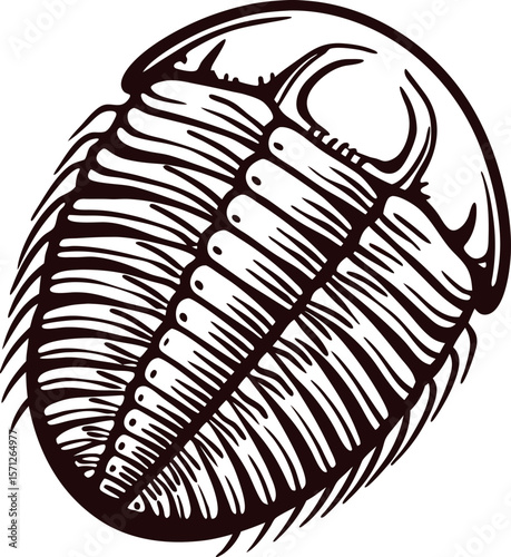 Detailed hand drawn trilobite fossil illustration with segmented exoskeleton and spiny appendages on white background