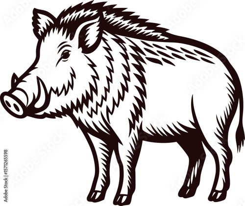 Wild boar standing side view detailed black and white vintage engraved drawing illustration