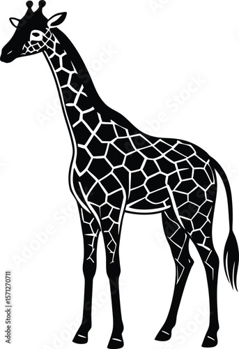 Elegant giraffe vector illustration with a long neck and spots, isolated on white, perfect for wildlife and safari designs ,portrait, standing, fashion, graceful