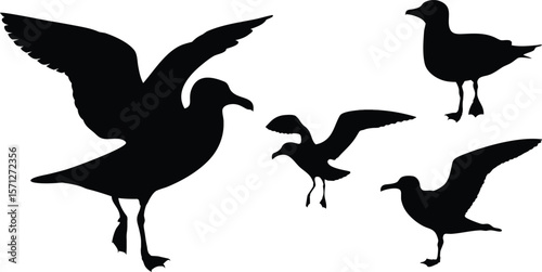 Set of seagull vector silhouette isolated on white background - Flying bird logo design illustration, Ocean wildlife icon set for travel & nature-themed projects