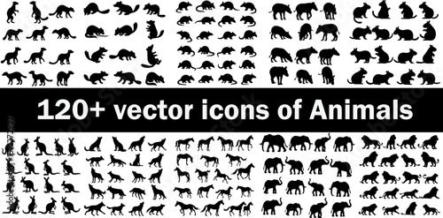 Wild animal silhouette icon set. Featuring kangaroo, wolf, lion, elephant, horse, and more. 150+ poses in solid black vector style on white background