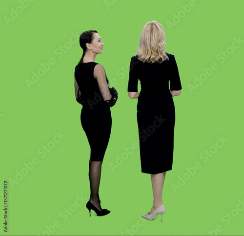 Back view two adult women in black dresses standing looking at something and discussing on green chroma key background