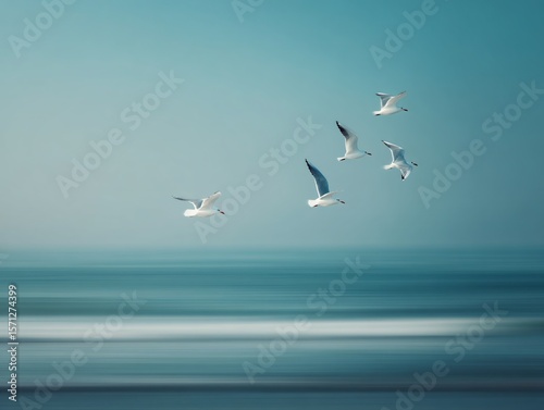 Slow shutter motion blur of seagulls flying over the ocean blurred photography coastal serenity aerial view