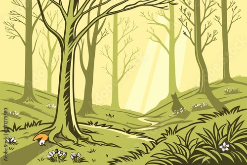  Sun-Dappled Beechwood Clearing.