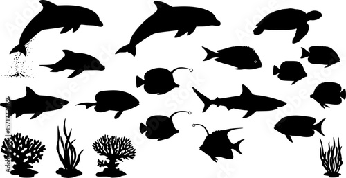 sea animals, fish, algae set silhouette ,on white background, vector
