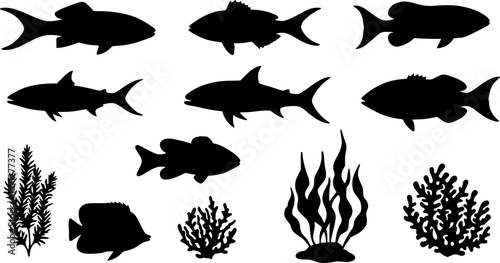 sea animals, fish, algae set silhouette ,on white background, vector
