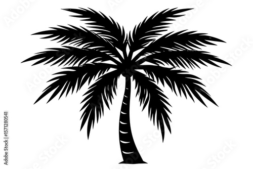 palm tree silhouette