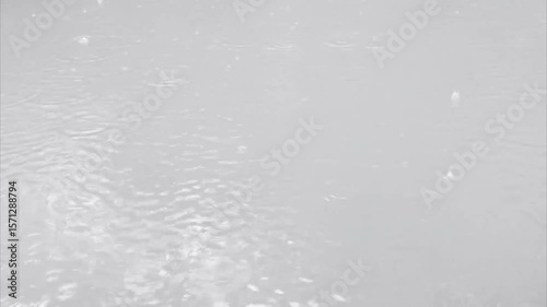 Concentric raindrop ripples dancing on calm water surface
