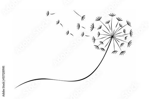 Dandelion seeds blowing in the wind flying