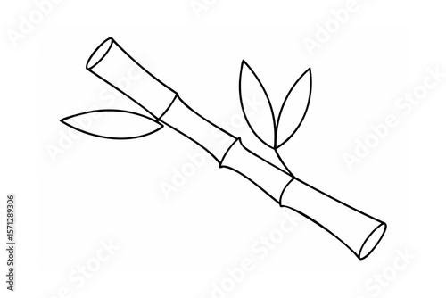 Bamboo stalk with leaves plant nature