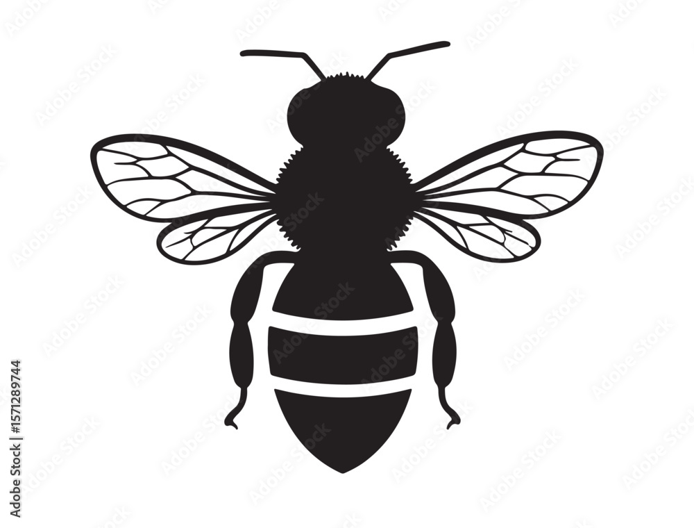 Fototapeta premium Honey Bee Silhouette black Vector Image white background.eps Actions:
