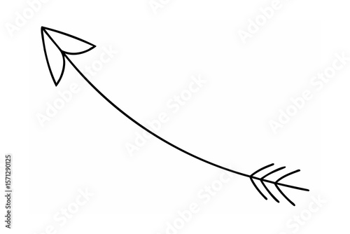 Black arrow with feather tip white