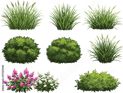 Realistic garden shrubs and grass plants collection, flowering bushes, landscaping greenery, natural elements, decorative vegetation for outdoor scene illustration