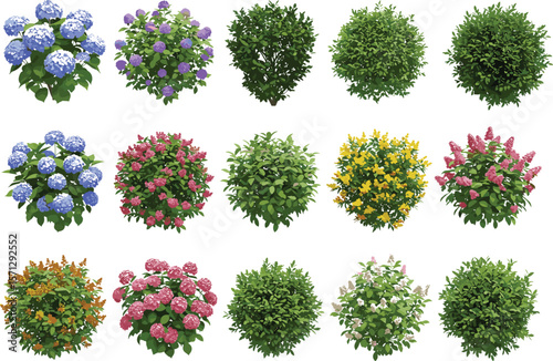 Colorful flowering bushes, green shrubs, and garden plants collection for landscape design, spring floral illustration, nature element clipart, isolated foliage