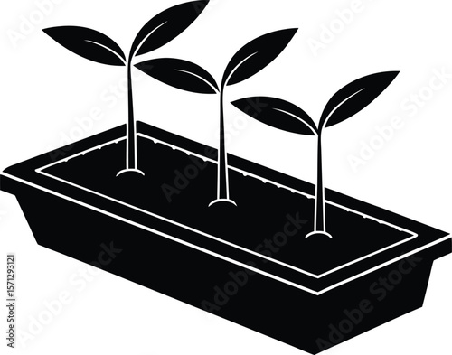 seedling tray on white background.eps