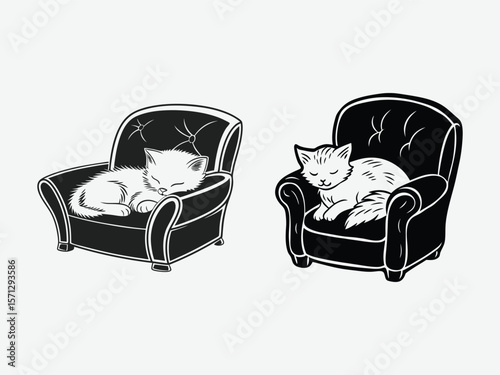 Two kittens sleeping in chairs isolated on white background.