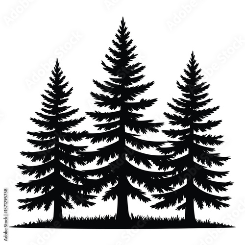 Three silhouette evergreen trees standing tall on a grassy hillside