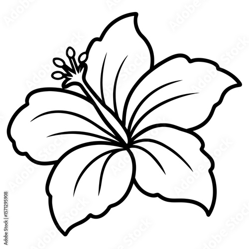 Tropical hibiscus flower line art vector illustration 