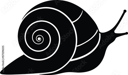 snail shell on white background.eps
