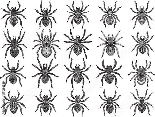 Floral Tarantula