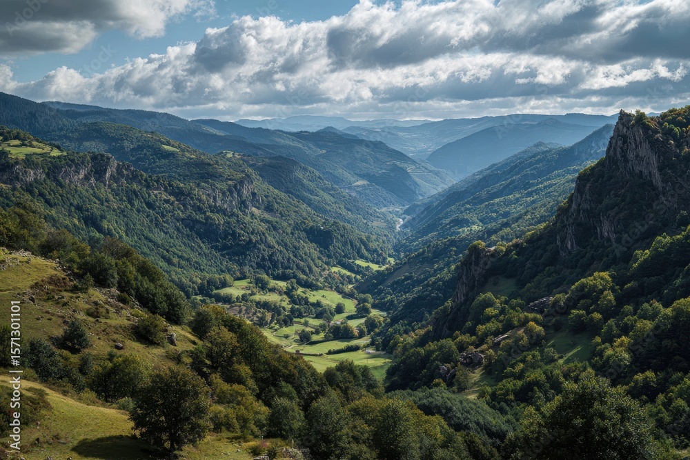 Obraz premium Valley perspective