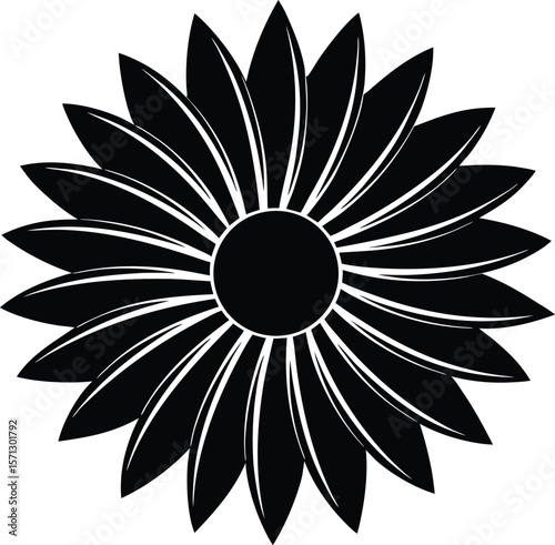 sunflower seed on white background.eps