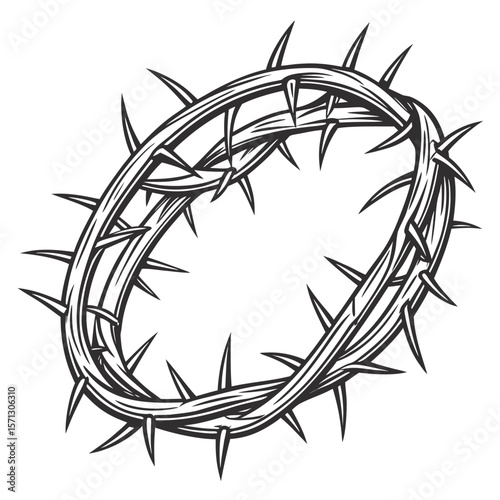 A Close Up View of a Crown of Thorns Detailed Black and White Illustration