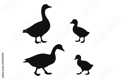 Goose and Gosling Silhouette Set – Farm Animal Vector Icons on White Background
