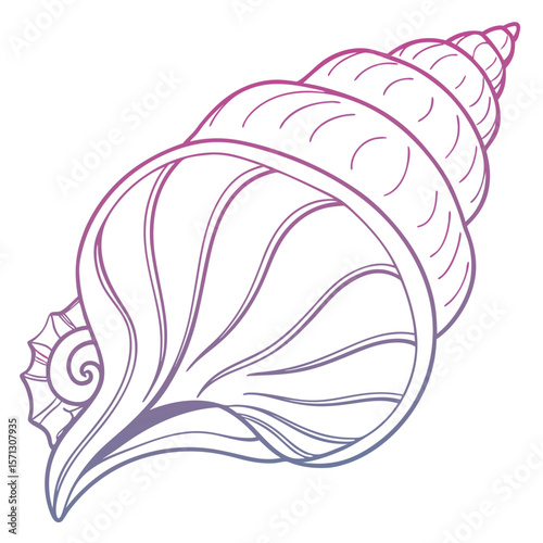 Detailed line art illustration of a spiral seashell with a gradient from purple to pink color palette